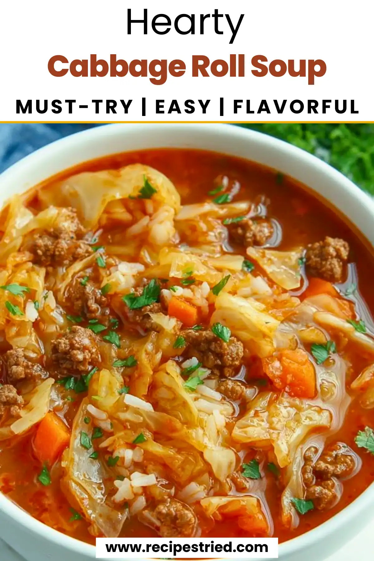 Cabbage Roll Soup showing beef, cabbage, and vegetables.