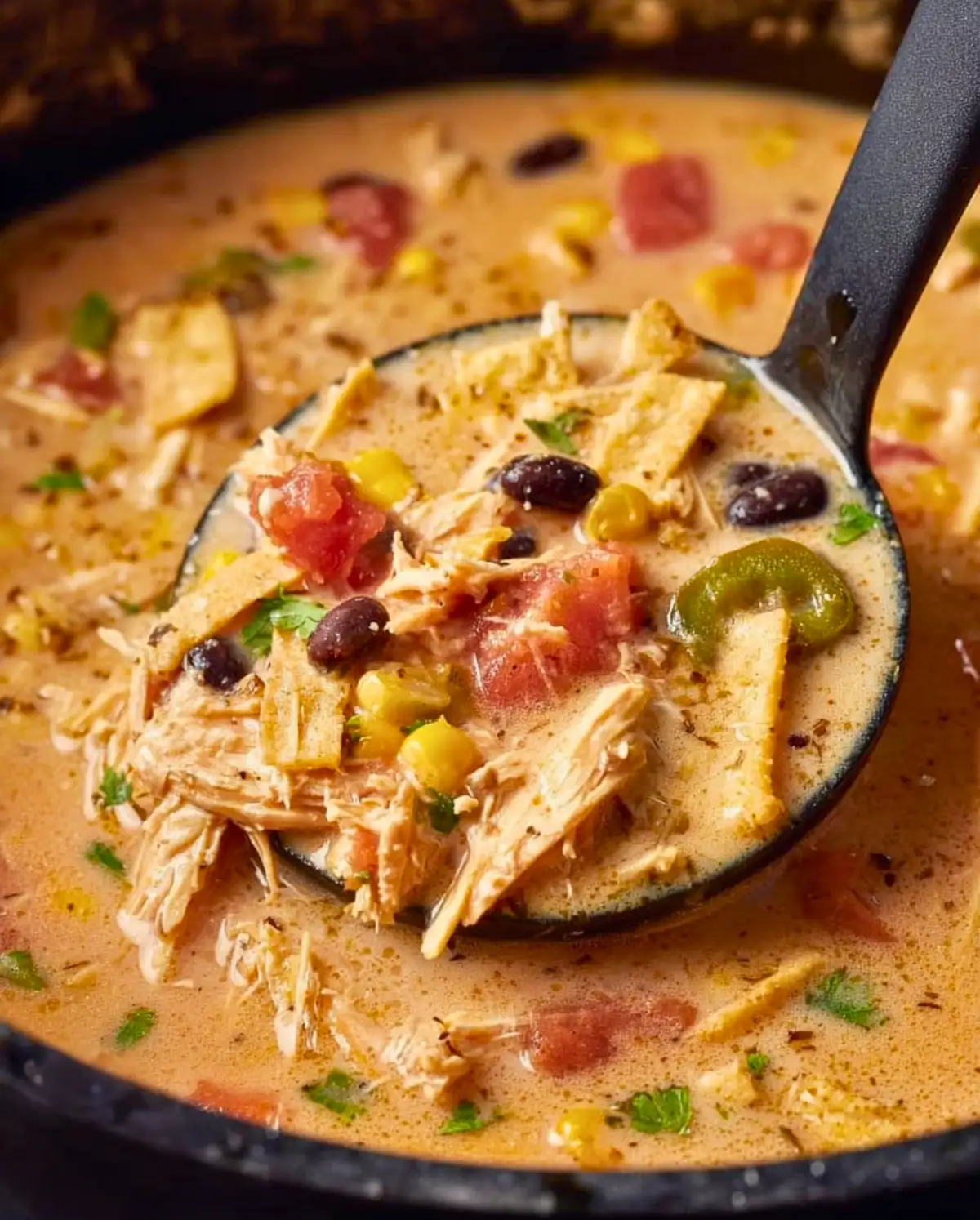 Chicken Tortilla Soup