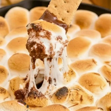 Best smores dip