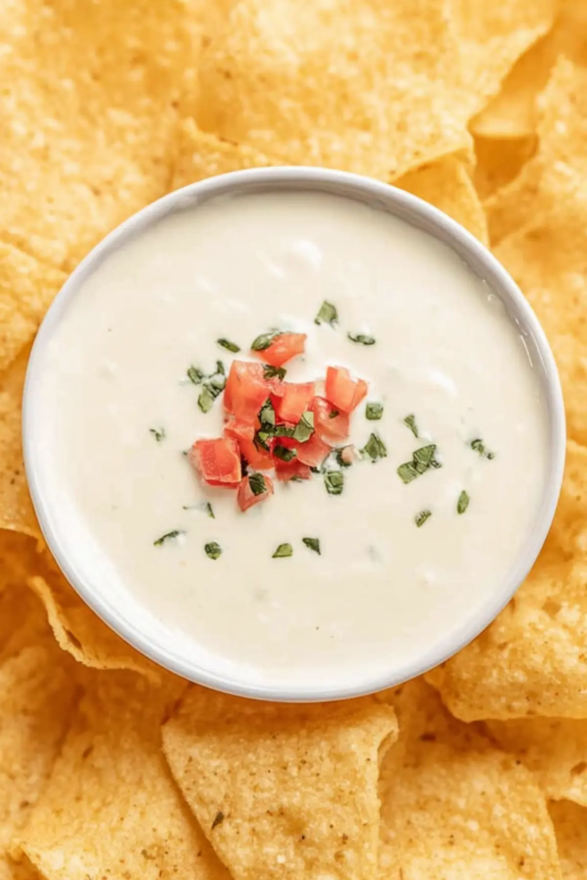 Queso Dip