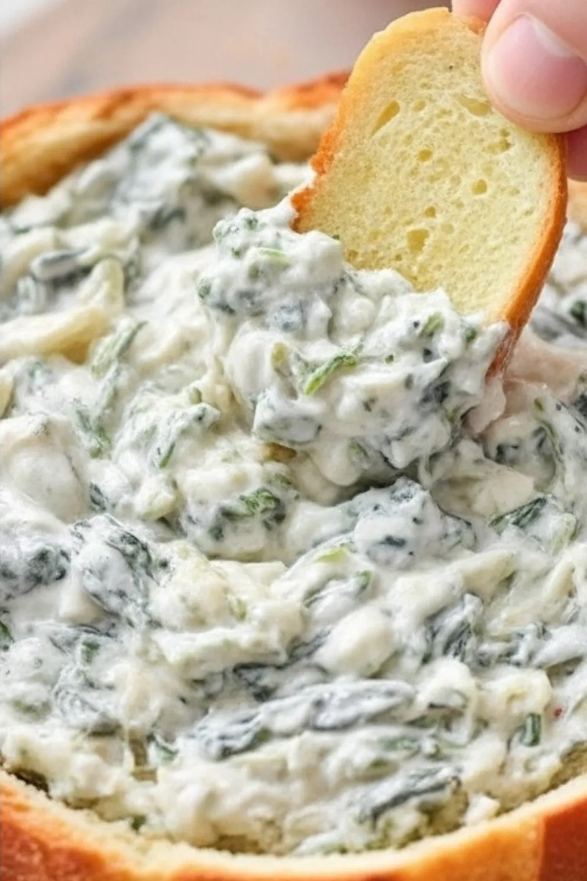 Spinach Dip Recipe